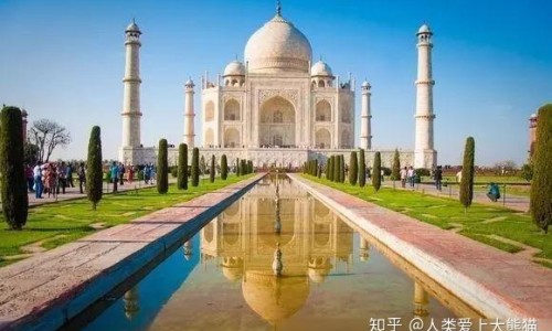 挖葱有什么功效网—知名的挖野葱图片网站,分享挖葱机器知识