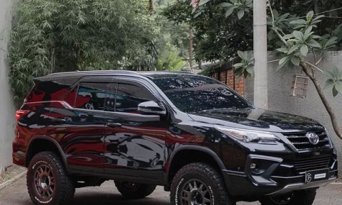 怎样挖葱沟-挖葱有什么功效网—知名的挖野葱图片网站,分享挖葱机器知识